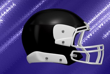 Baltimore Ravens 