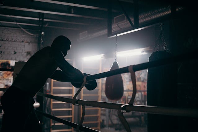 Professional Fighters
